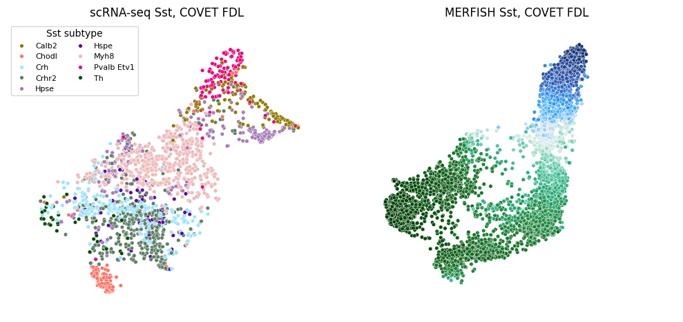 ../_images/tutorial_MOp_MERFISH_tutorial_42_0.png