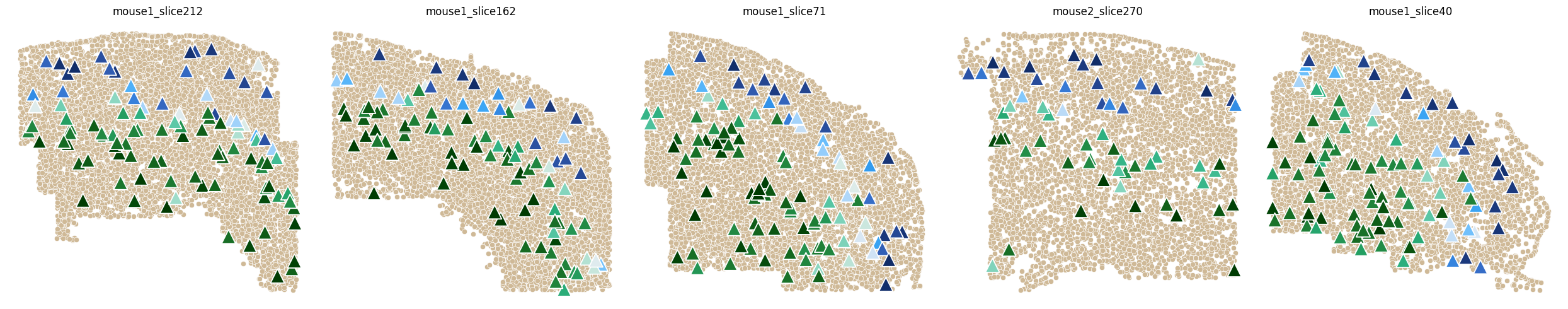 ../_images/tutorial_MOp_MERFISH_tutorial_43_0.png